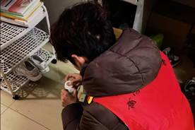 0588de55c136cd35280dc3507c1b7b15